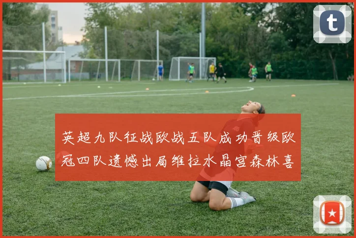 英超九队征战欧战五队成功晋级欧冠四队遗憾出局维拉水晶宫森林喜获晋级资格